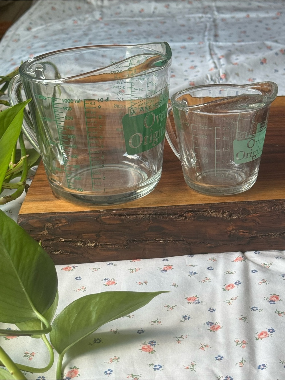Anchor Hocking Oven Originals Clear Glass Measuring Cup Set with Green Markings